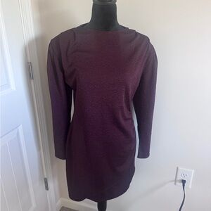 Express Deep Purple Long Sleeve Dress
